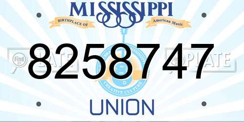 8258747 Mississippi License Plate