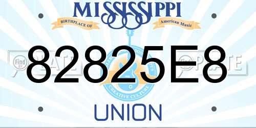 82825E8 Mississippi License Plate