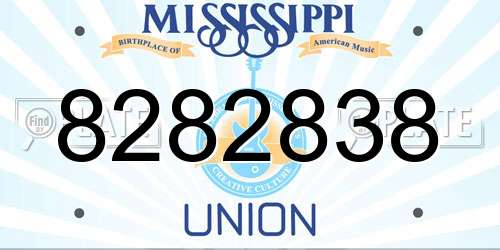 8282838 Mississippi License Plate