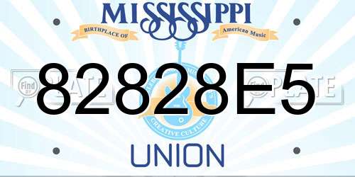 82828E5 Mississippi License Plate