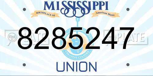 8285247 Mississippi License Plate
