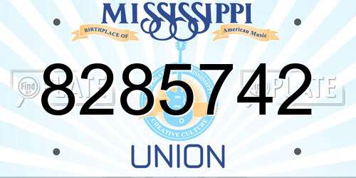 8285742 Mississippi License Plate