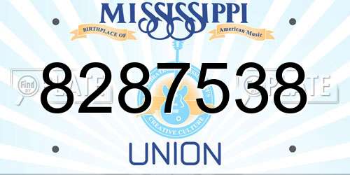 8287538 Mississippi License Plate