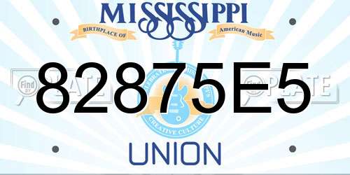 82875E5 Mississippi License Plate