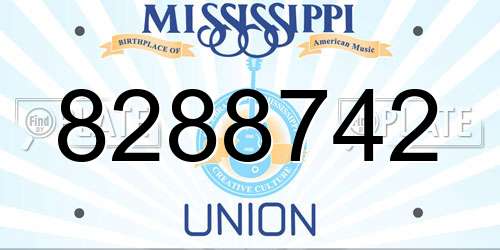 8288742 Mississippi License Plate
