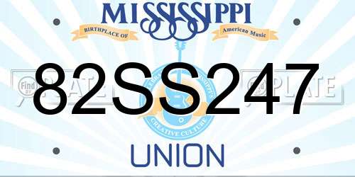 82SS247 Mississippi License Plate