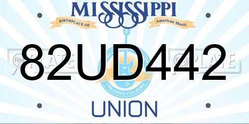 82UD442 Mississippi License Plate