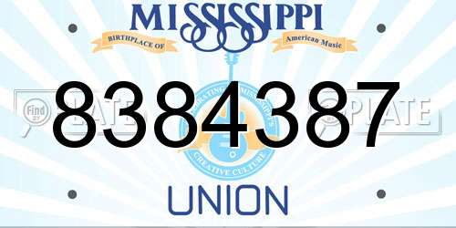8384387 Mississippi License Plate