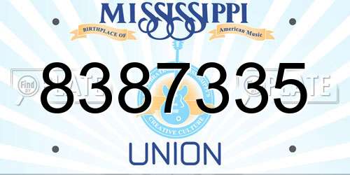 8387335 Mississippi License Plate