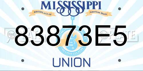83873E5 Mississippi License Plate