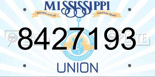 8427193 Mississippi License Plate