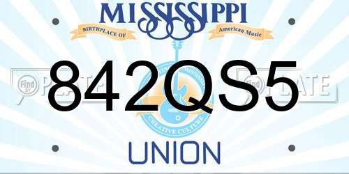 842QS5 Mississippi License Plate
