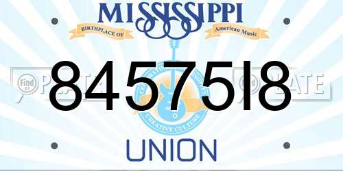 84575I8 Mississippi License Plate