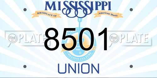 8501 Mississippi License Plate