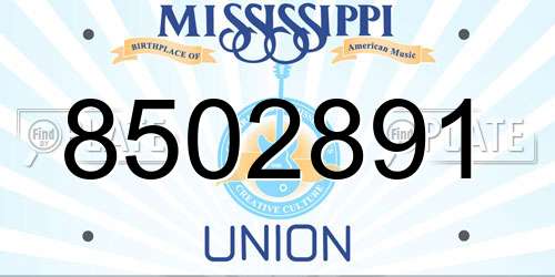 8502891 Mississippi License Plate