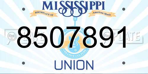 8507891 Mississippi License Plate