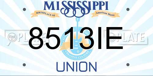 8513IE Mississippi License Plate