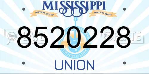 8520228 Mississippi License Plate