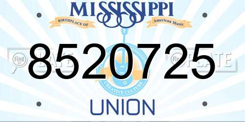 8520725 Mississippi License Plate