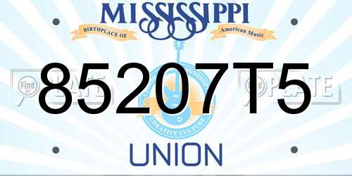 85207T5 Mississippi License Plate
