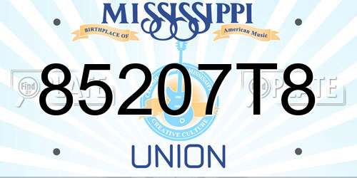 85207T8 Mississippi License Plate