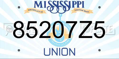 85207Z5 Mississippi License Plate