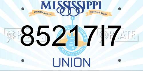 85217I7 Mississippi License Plate