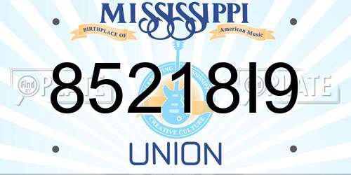 85218I9 Mississippi License Plate