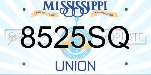 8525SQ Mississippi License Plate