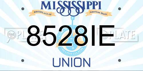 8528IE Mississippi License Plate