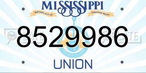 8529986 Mississippi License Plate