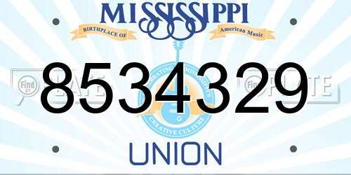 8534329 Mississippi License Plate