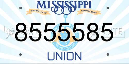 8555585 Mississippi License Plate