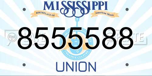 8555588 Mississippi License Plate