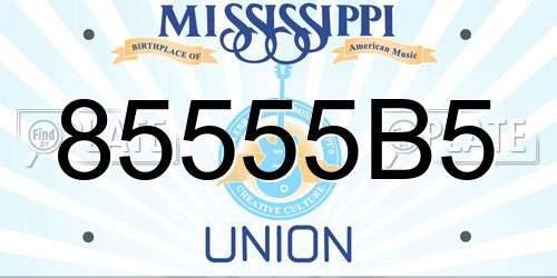 85555B5 Mississippi License Plate