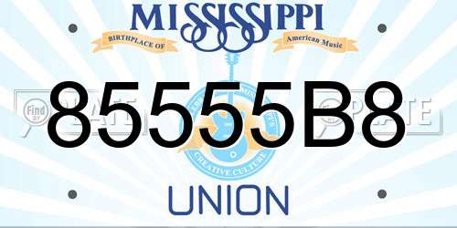 85555B8 Mississippi License Plate