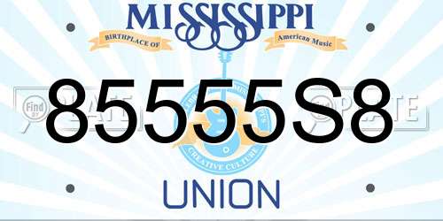 85555S8 Mississippi License Plate