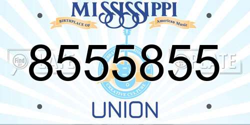 8555855 Mississippi License Plate