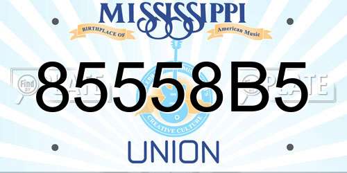 85558B5 Mississippi License Plate