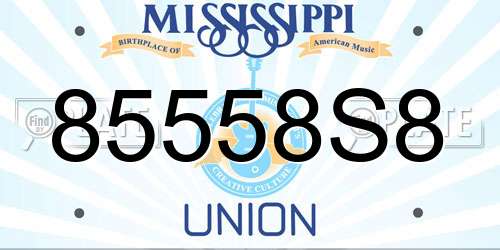 85558S8 Mississippi License Plate