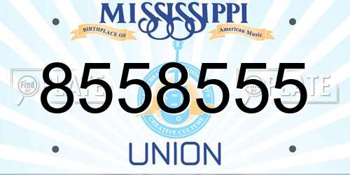 8558555 Mississippi License Plate