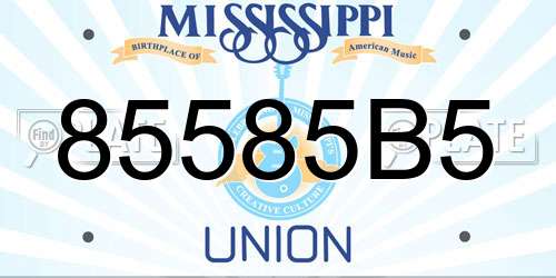 85585B5 Mississippi License Plate