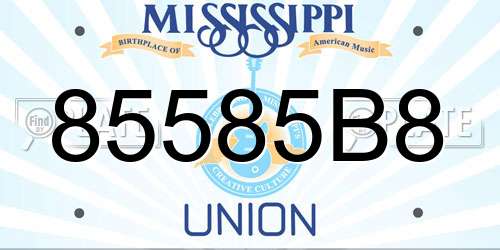 85585B8 Mississippi License Plate