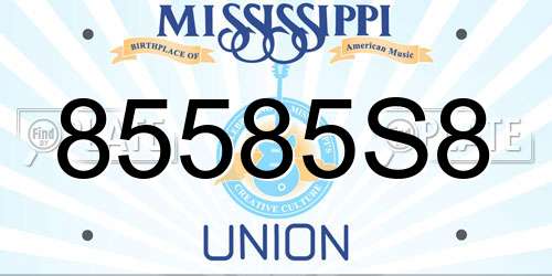 85585S8 Mississippi License Plate