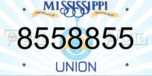 8558855 Mississippi License Plate