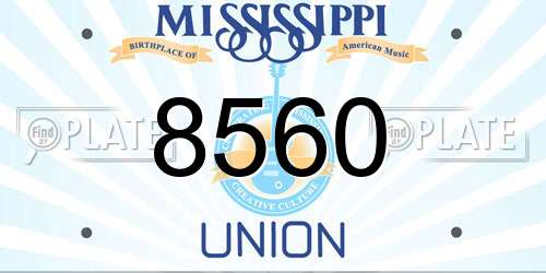8560 Mississippi License Plate