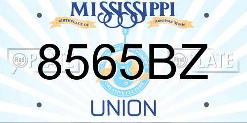 8565BZ Mississippi License Plate