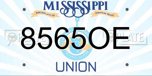 8565OE Mississippi License Plate