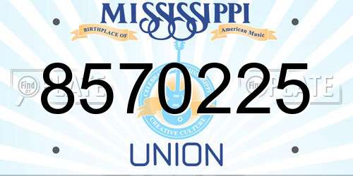 8570225 Mississippi License Plate
