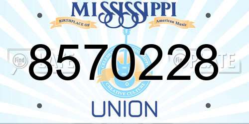 8570228 Mississippi License Plate